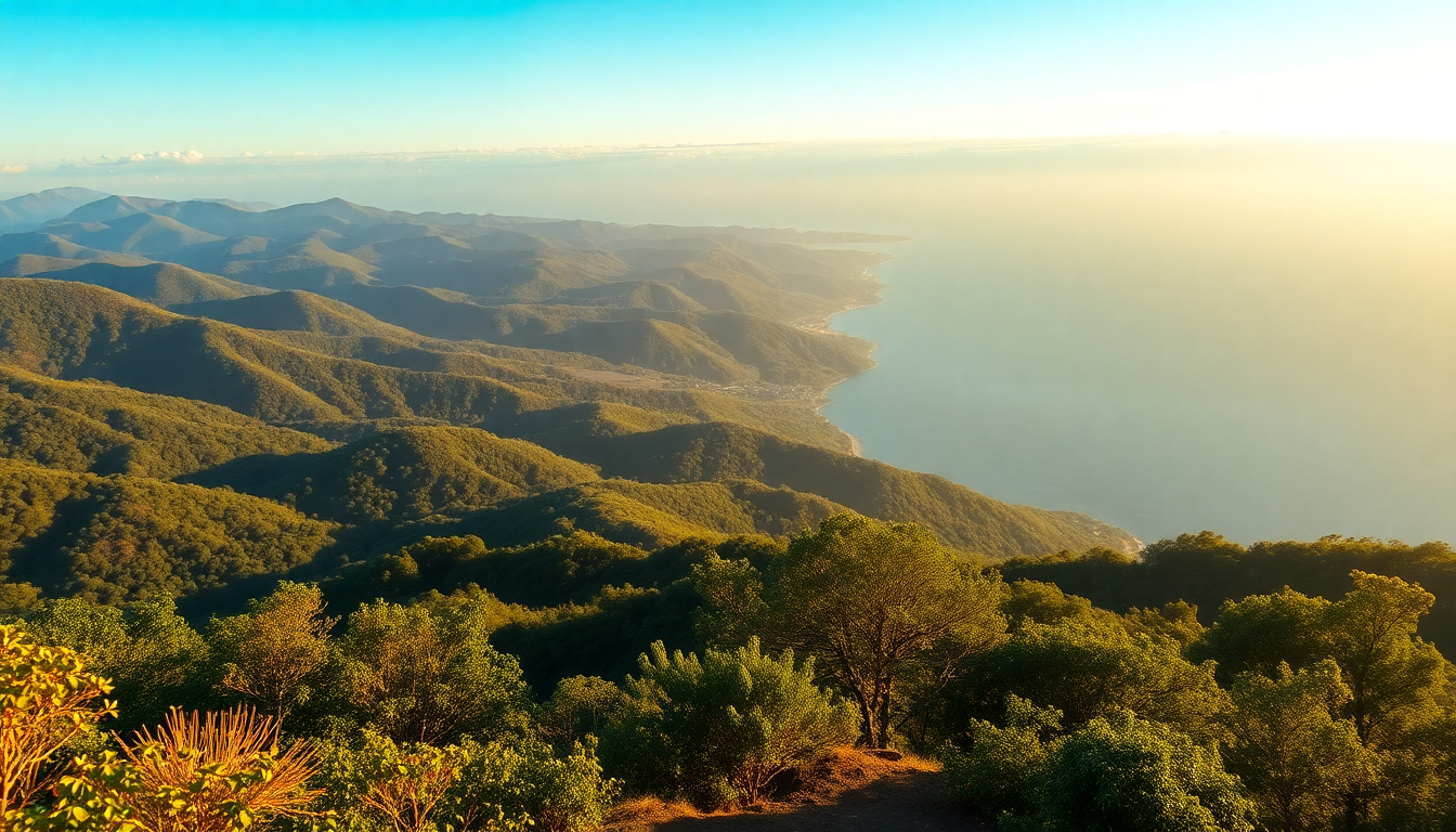 Best Day Trips from Medellín: Guatapé, Coffee & Santa Fe - Colombia travel guide